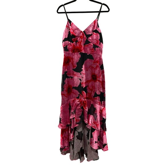Hutch Floral Velvet Ruffle High Low Romantic Maxi Dress NWT Size 4 - Picture 6 of 11